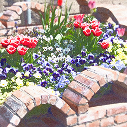 石積・植木・芝